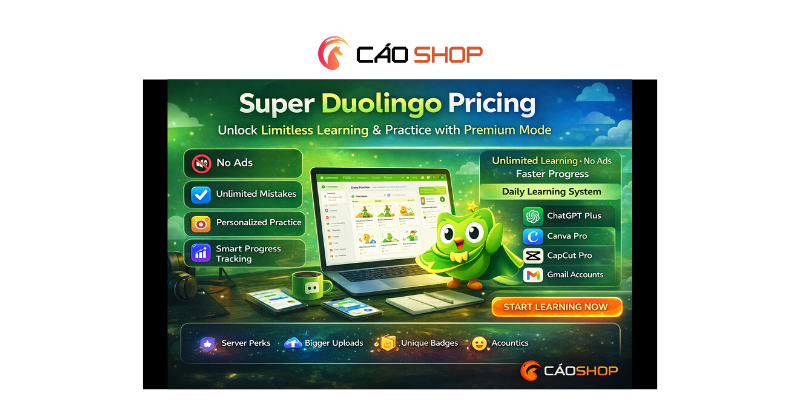 Super Duolingo Pricing: What You Unlock When You Remove Every Limitation