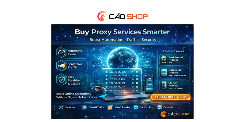 Buy Proxy Services: The Backbone of Scalable Online Systems