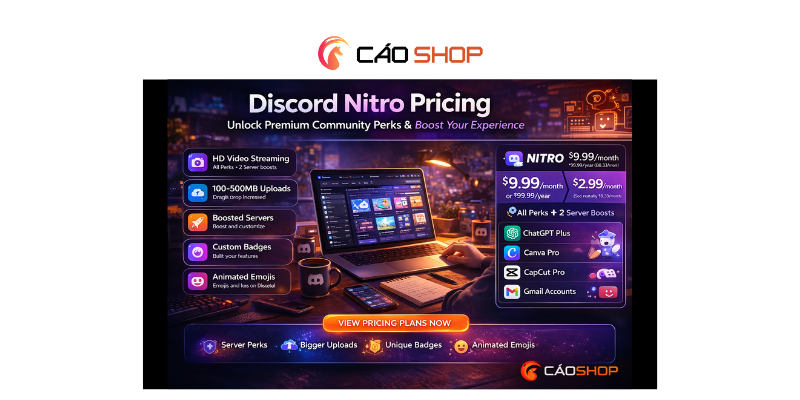 Discord Nitro Pricing Isn’t About Cost — It’s About Status, Speed, and Experience