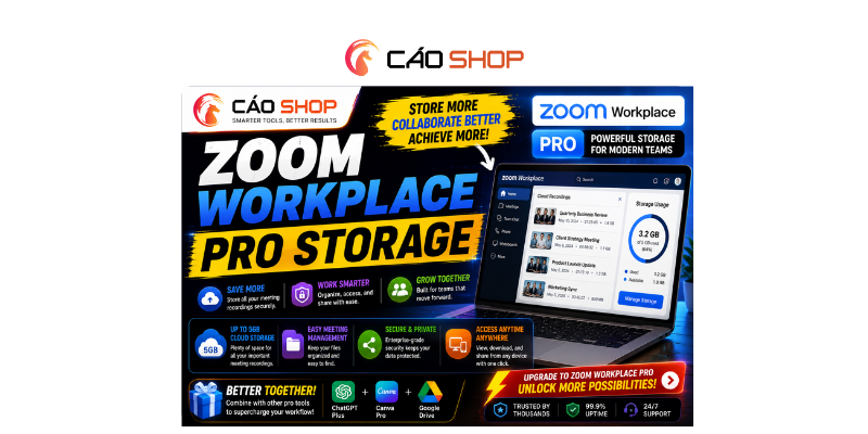Why Zoom Workplace Pro Storage Feels Essential for Modern Teams