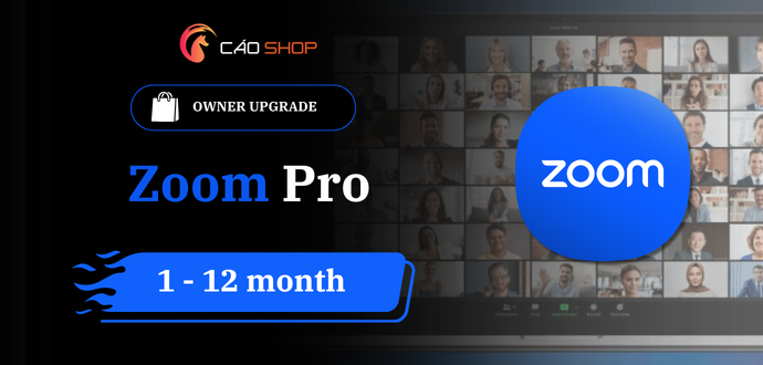 Zoom Pro