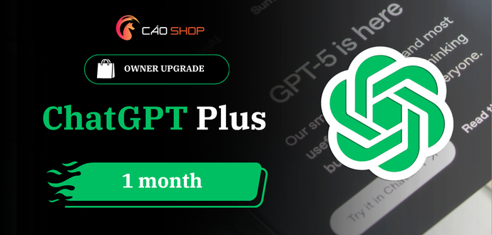 Chatgpt Plus