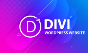 divi theme wordpress
