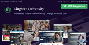 kingster theme wordpress