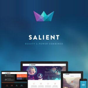 salient theme wordpress