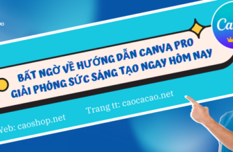Bất Ngờ Hướng Dẫn Canva Pro hiệu quả