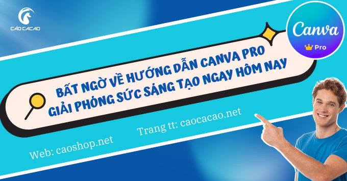 Bất Ngờ Hướng Dẫn Canva Pro hiệu quả