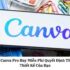 Bất Ngờ về Hướng dẫn Canva Pro – Giải Phóng Sức Sáng Tạo Ngay Hôm Nay!